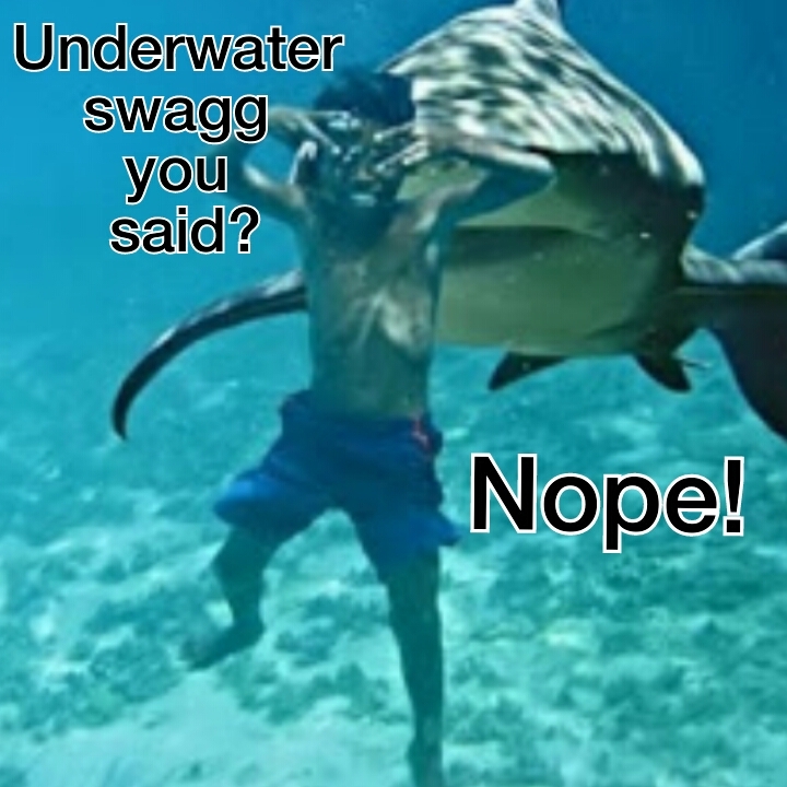 Shark swagg - meme