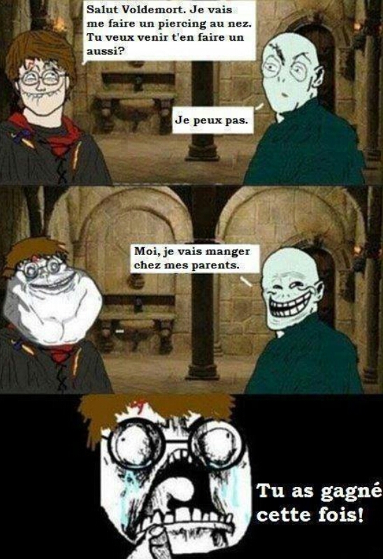 harry vs Voldemort - meme