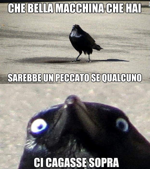corvo maligno - meme