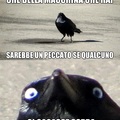 corvo maligno