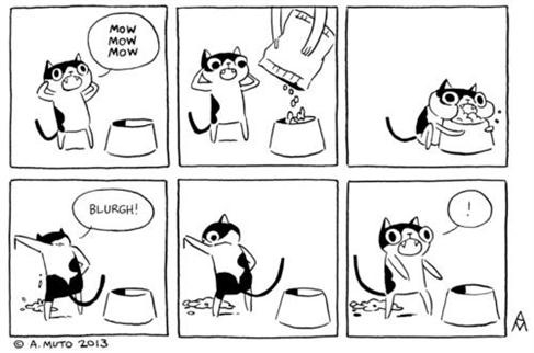 What a cat does for food - meme