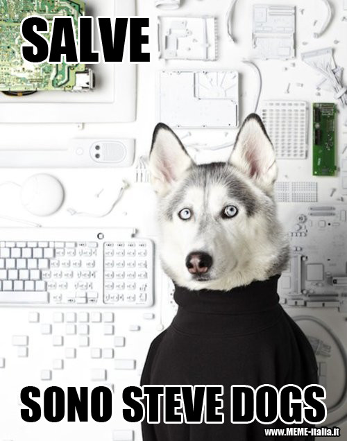 Steve dogs - meme