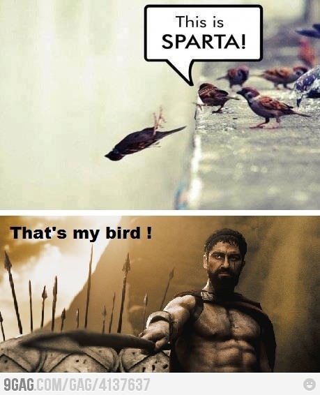 sparta - meme