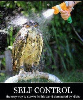Self Control - meme