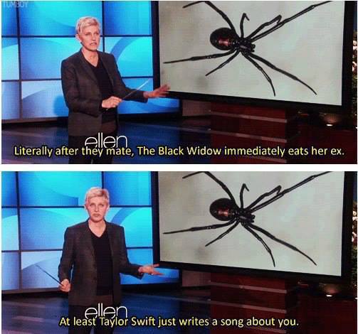 Gotta love Ellen - meme