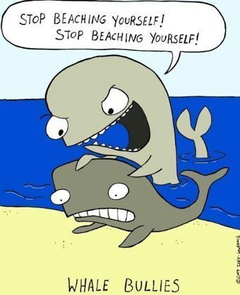 Stop beaching yourself! - meme