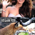 Vegan fox