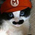 Mario *-*