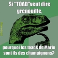 toads-grenouilles