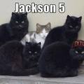 Jackson five