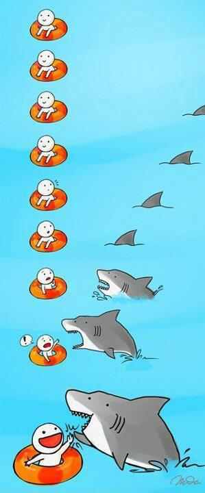cute shark - meme