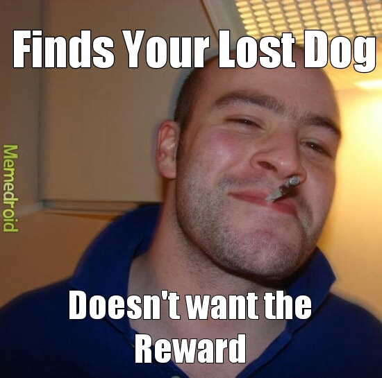 lost dog - meme