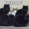 Jackson5
