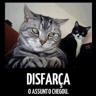 Disfarçars - Meme by thaiscatinha :) Memedroid