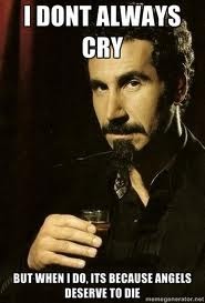 Serj - meme