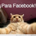 para facebook