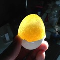 frozen egg