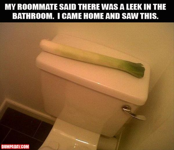 Leek in the Bathroom - meme