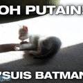 Batman-cat