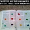 Gummy Bears!!