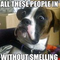 Smelly people