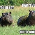 Hippo pun