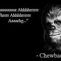 chewbacca!!