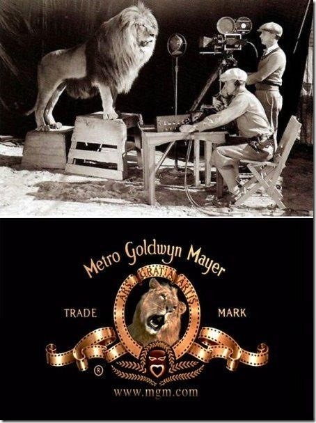 i can finally die in peace - meme