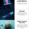 medusas lol