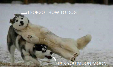 2nd comment is moon moon the retarded wolf!!!!! - meme
