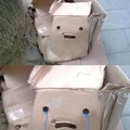 sad box needs a friend