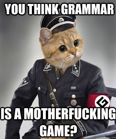 Some Grammar Nazis need to hold the correcting in - meme