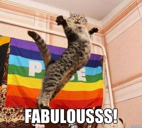 fabulous cat is mor fabulous than you will ever be says title - meme