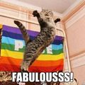 fabulous cat is mor fabulous than you will ever be says title