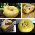 Snake cake !
