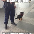 police pup