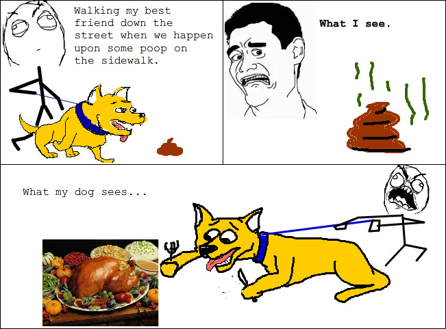 i will never understand  my dog - meme