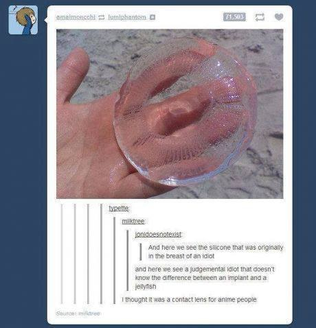I thought it was a glass bowl upside down  - meme