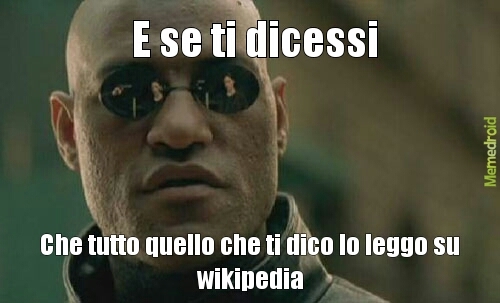 wiki - meme