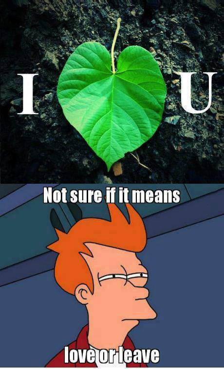 I leaf you - meme