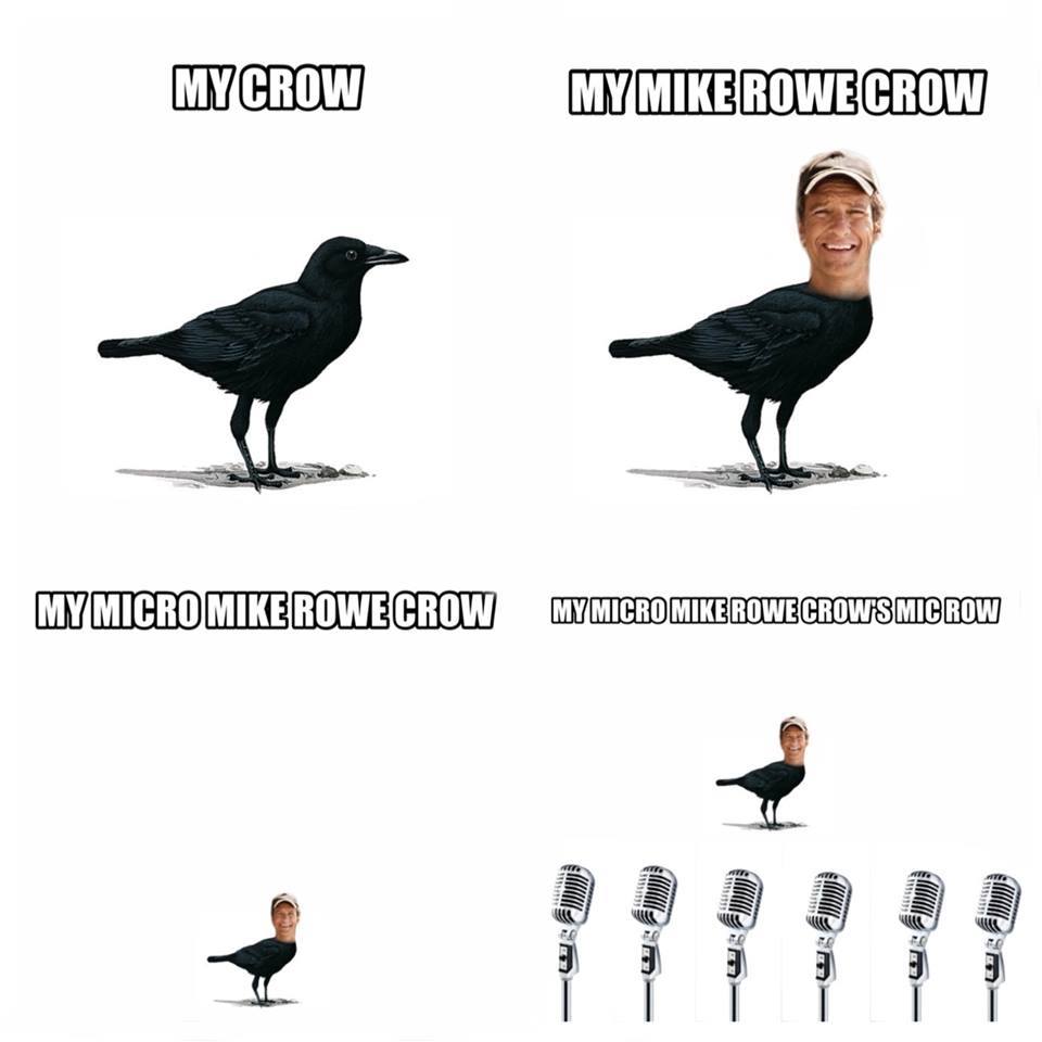 Mike Rowe the crow and row of micro microphones - Meme subido por ...