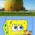 Spongebob ^.^