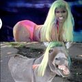 Ane minaj