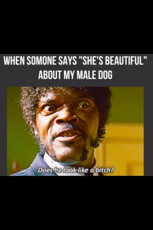 she is a male! - meme