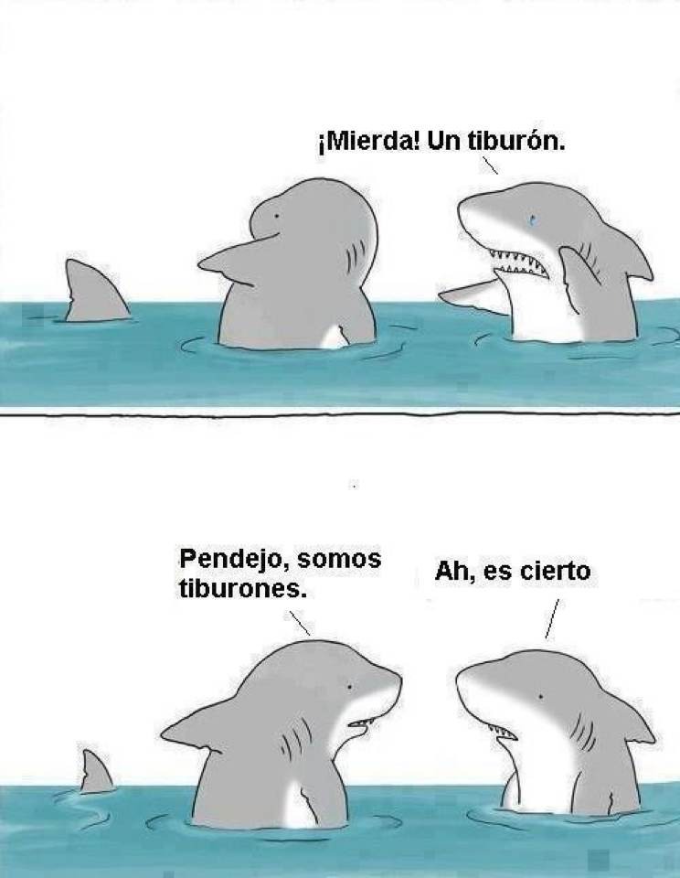 Tiburones... - meme
