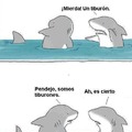 Tiburones...