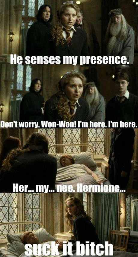Dammit Hermione - meme