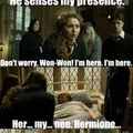 Dammit Hermione