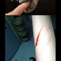 My cat did this to me too :'(