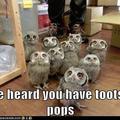 how many tootsie pops are their?